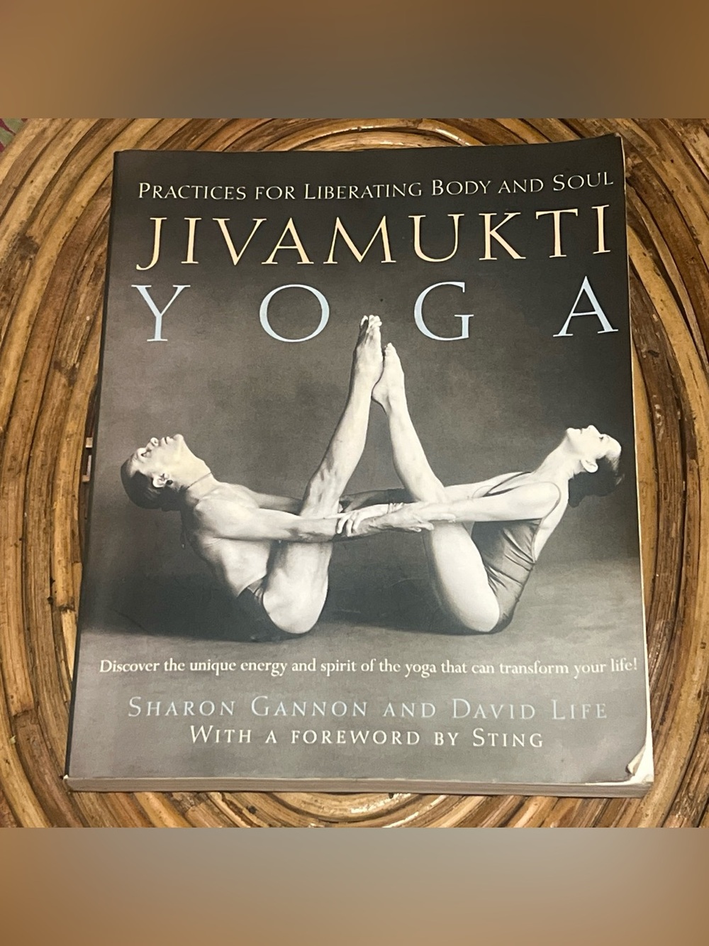 Jivamukti Yoga Book